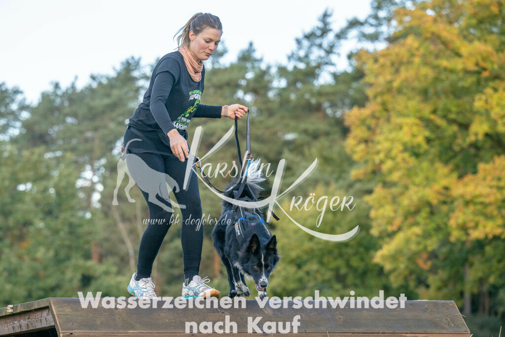 0858_ZZ91967 | kk-dogfotos
