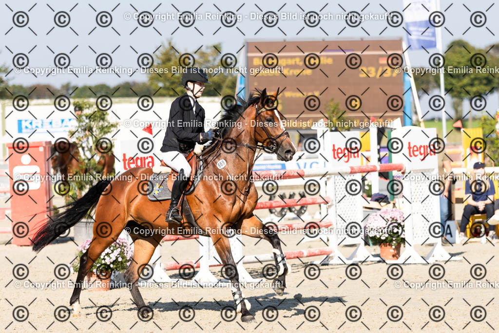 CL5A6788 | Emilia Reinking Fotografie - Realisiert mit Pictrs.com