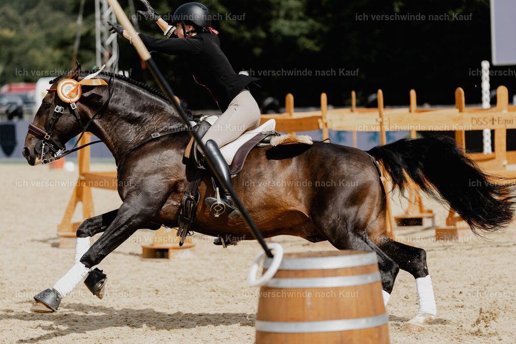 Virginie12FHC2025-3238 | working equitationturnier fotograf videograf stoibphotography marixx film working equitation deutschland reitsport turnierfotografie eventfotografie equestrian events
