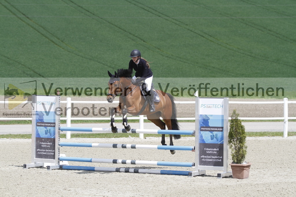 _MG_2176 | equestrian-live-com