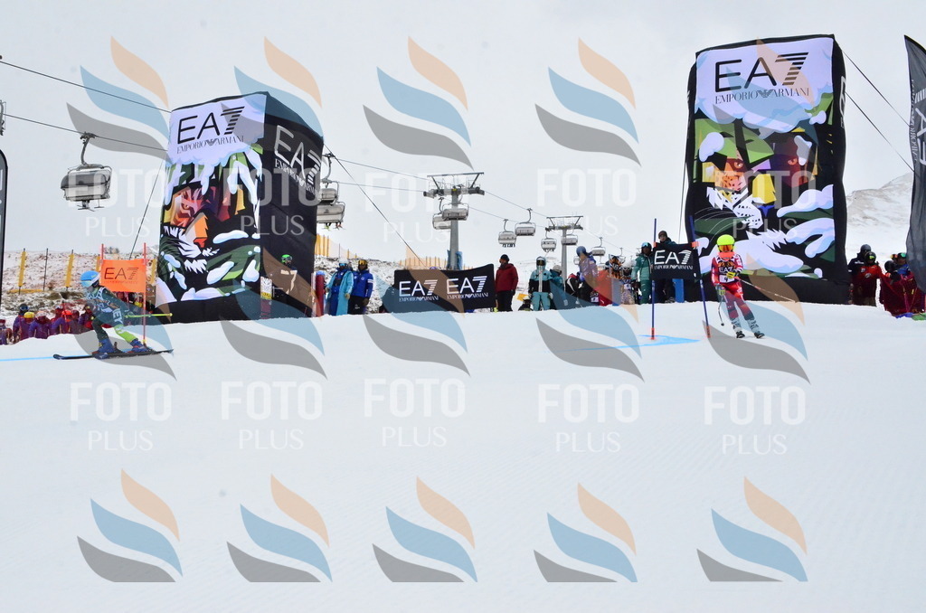 _ELE3115 | holidayphoto