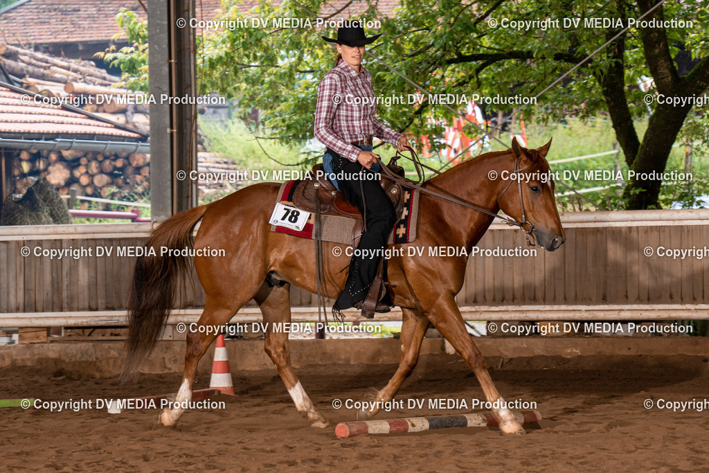 Erbach Tag 3-292 | dv-media-shop - Realisiert mit Pictrs.com