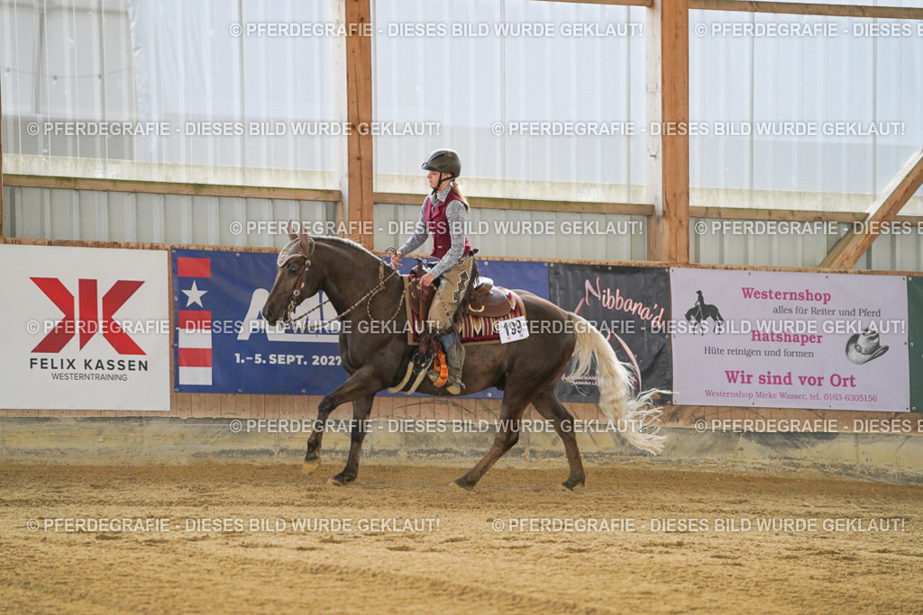 DSC08739 | Pferdegrafie