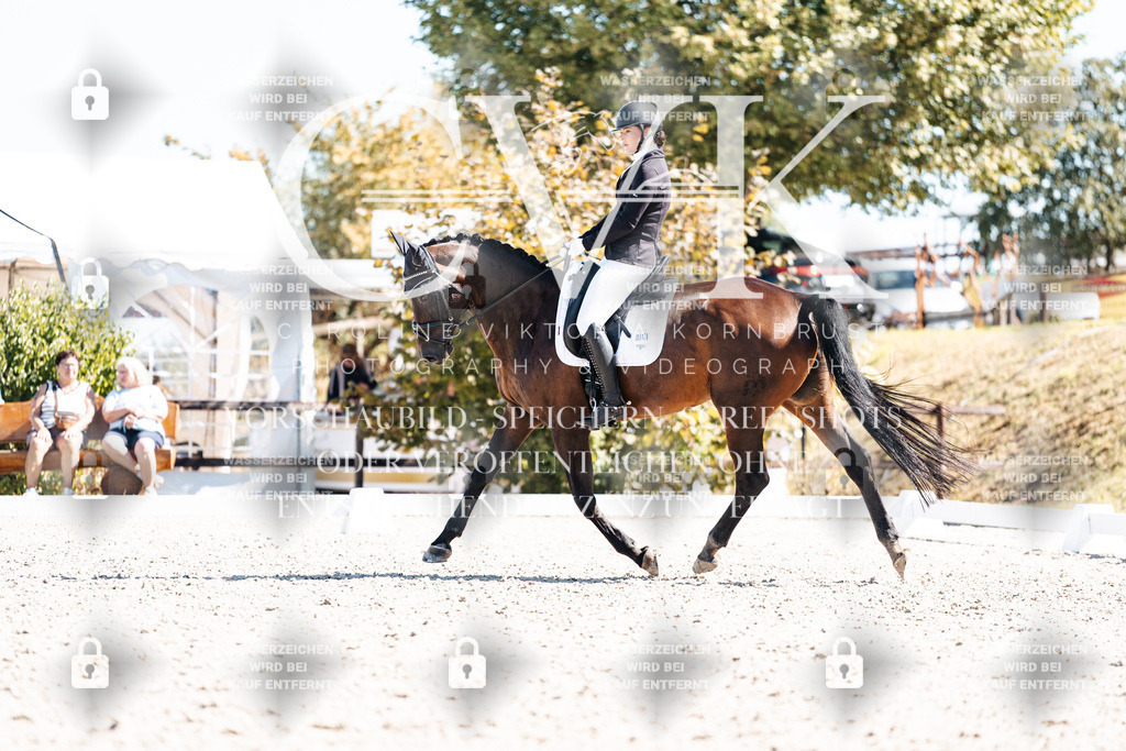 CK909712 | Turnierfotografie Pferdefotografie Trier Rheinland-Pfalz Pferdesport Reitsport Tierfotografie Sportfotografie Pferdevideo Pferdevideografie Equestrianvideography equestrianphotography  - Realisiert mit Pictrs.com