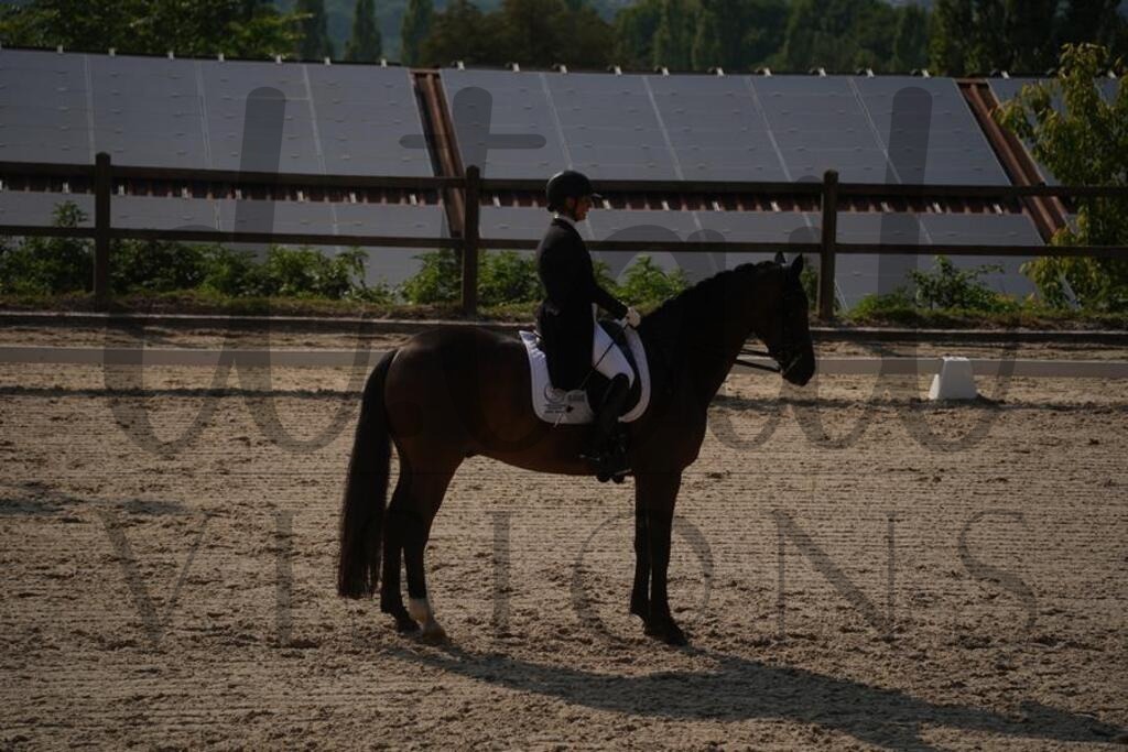 tgbhfreitag (1717) | d.tail Visions - Shop - Realisiert mit Pictrs.com