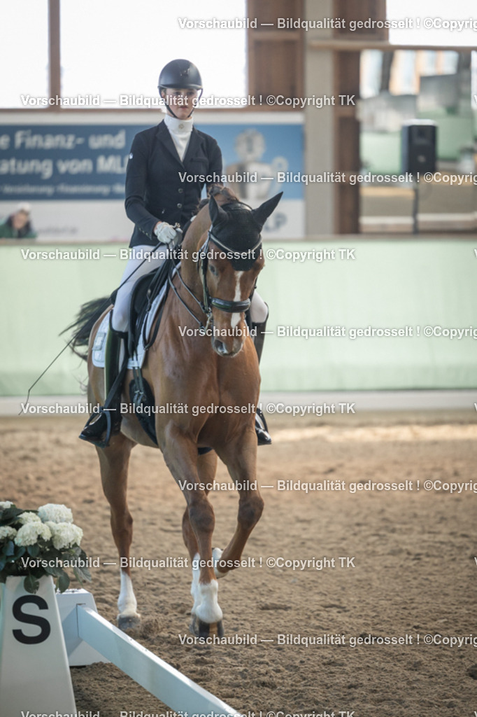 _D5A4442 | Emotionale Pferde- & People-Fotografie rund um Heidelberg, Leimen & Umgebung. Natürliche Fotos von Pferd, Mensch & Familie. Jetzt Termin sichern!