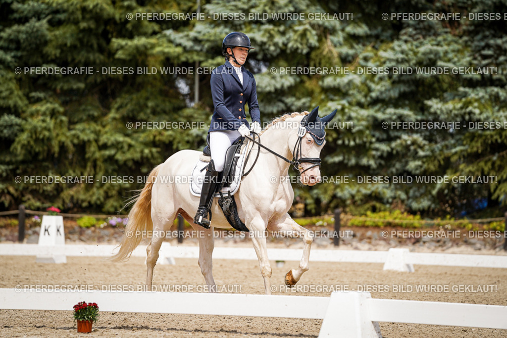 DSC04039 | Pferdegrafie