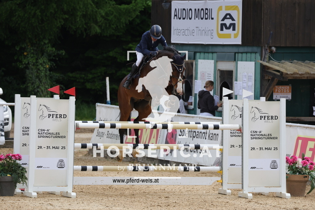 0P6A5303 | Willkommen bei Brunnmayr - Design & Fotografie – Ihrem Spezialisten für Reitturniere und Pferdeveranstaltungen in Oberösterreich, Salzburg und Bayern! Seit über 17 Jahren sind wir leidenschaftlich dabei.