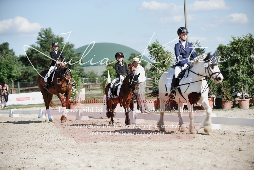 DSC_0144 | Pferde- und Turnierfotografie in Westsachsen. Pferdeportraits, Auftragszeichnungen und intuitive Kunst.