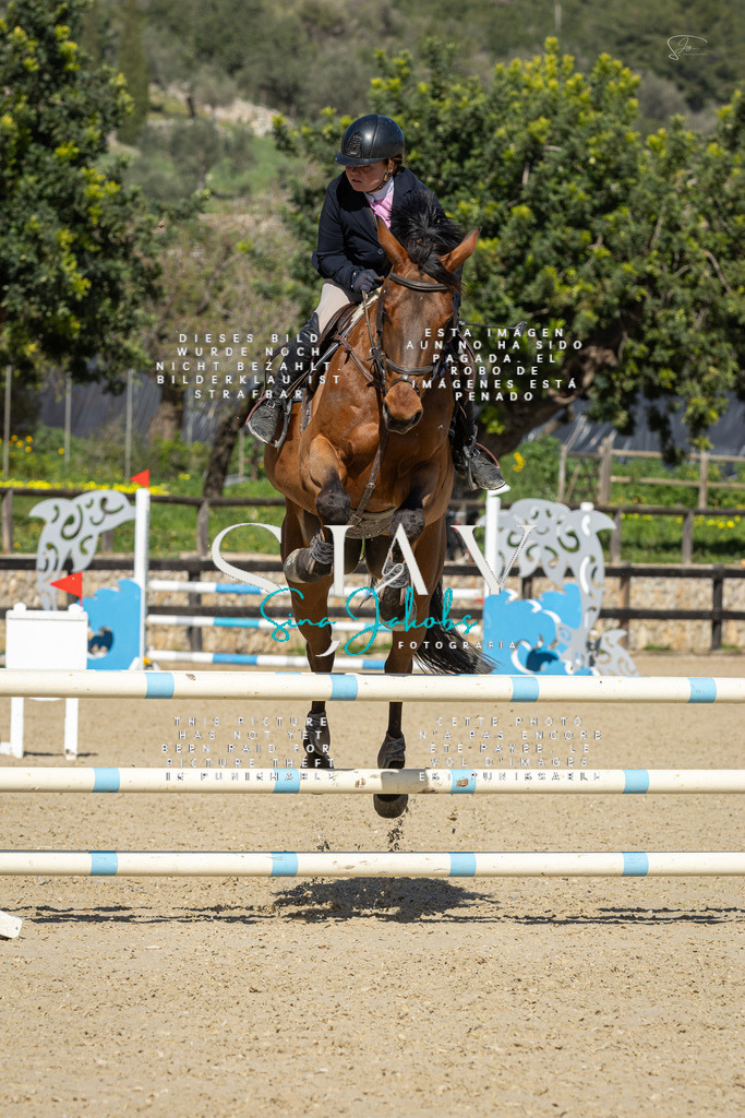 IMG_6501 | s-jay-photography - Realisiert mit Pictrs.com