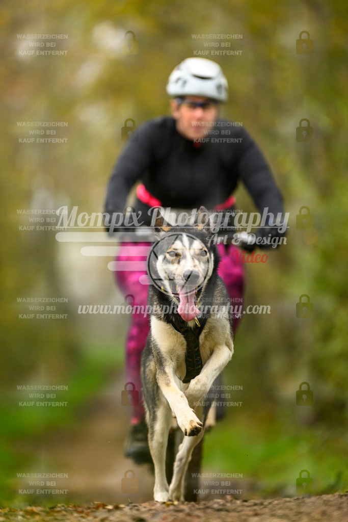 MompixPhotography_20TSB_E6_Bike-149 | mompixphotography