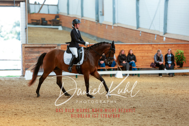 _62_4730 | Turniersportfotografie; Pferdefotografie; Dressurfotografie