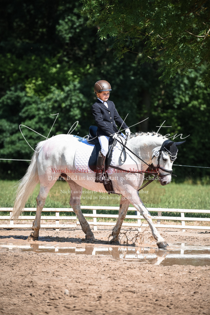 DSC_3571 | Pferde- und Turnierfotografie in Westsachsen. Pferdeportraits, Auftragszeichnungen und intuitive Kunst.