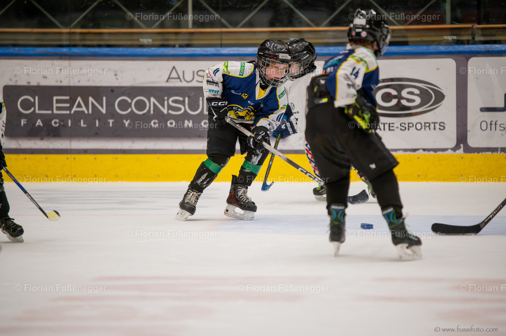 DSC_4219 | "Fussifoto.com – Ihr Ansprechpartner für hochwertige Fotografie! Entdecken Sie kreative Bilder und professionelle Dienstleistungen. Kontaktieren Sie uns für Ihre Projekte!"