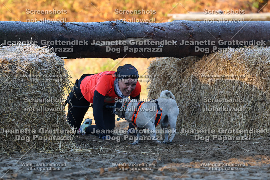 Dog Paparazzi - Strongdog 10-25-548 | Dog Paparazzi Jeanette Grottendiek Fotografie & Videografie - Realisiert mit Pictrs.com