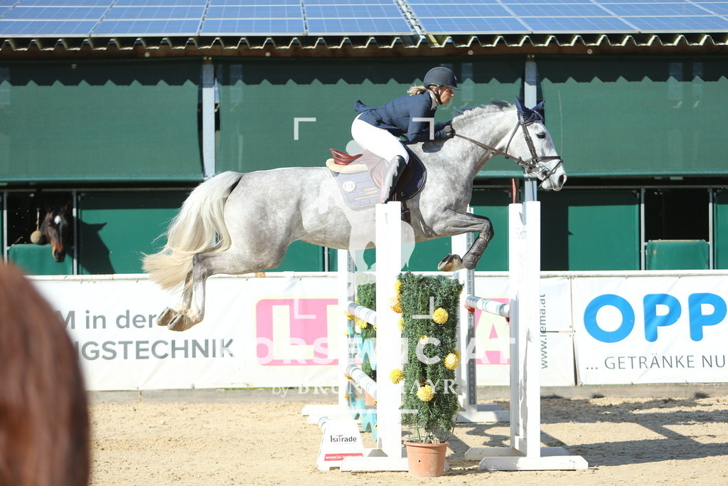 DL2Q1339 | Willkommen bei Brunnmayr - Design & Fotografie – Ihrem Spezialisten für Reitturniere und Pferdeveranstaltungen in Oberösterreich, Salzburg und Bayern! Seit über 17 Jahren sind wir leidenschaftlich dabei.