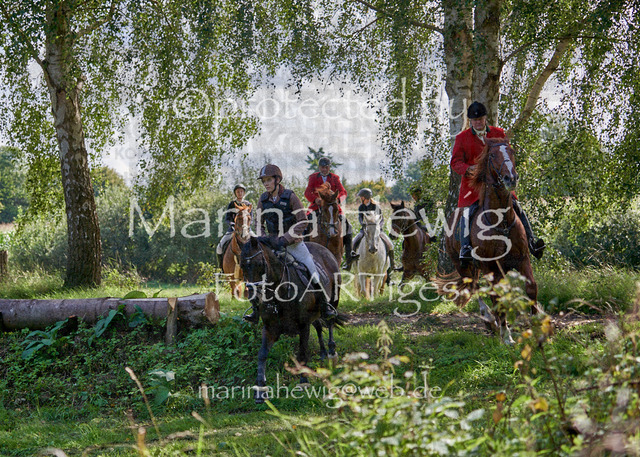 08-23 Bredeneek Jagd_MCH9378_Marina Hewig | Fotografie, FotoArt, PferdesportArt, Pferdesportfotografie, Landschaftsfotografie, Reisefotografie, Reise, Pferde - Realisiert mit Pictrs.com