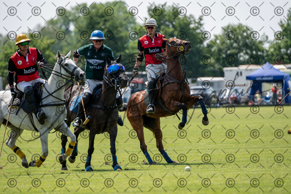 POL_2184 | andre_photographic