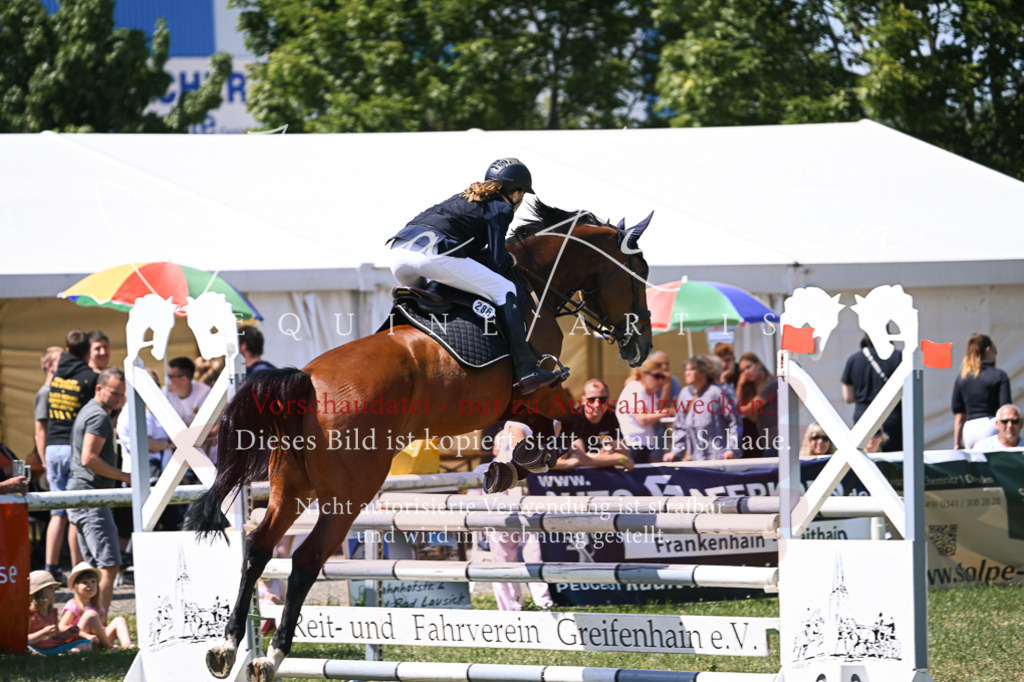DSC_0132 | Pferde- und Turnierfotografie in Westsachsen. Pferdeportraits, Auftragszeichnungen und intuitive Kunst.