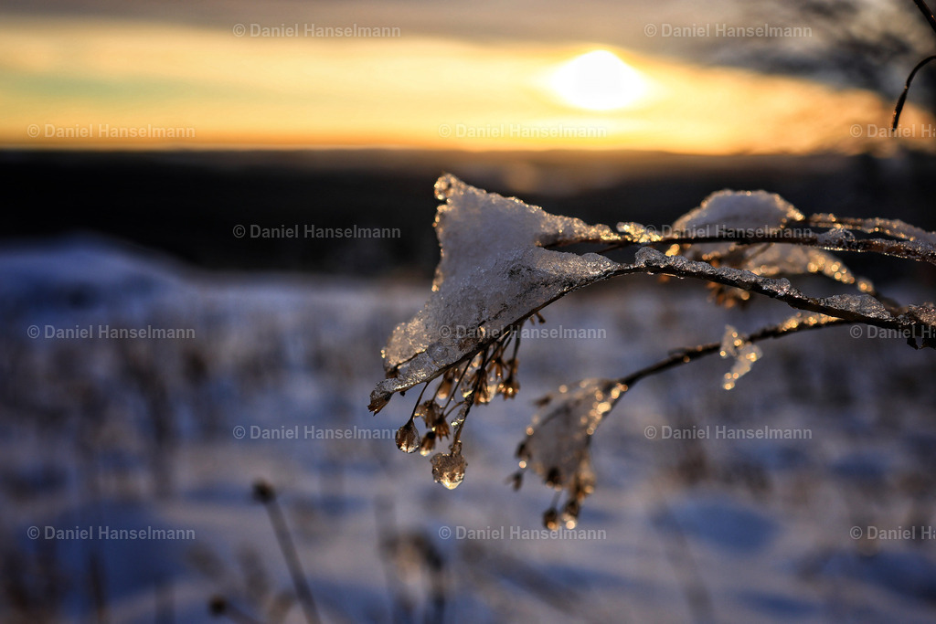 IMG_0276 | Hier finden Sie Poster, Leinwandfotos sowie viele weitere Fotoprodukte mit Motiven aus dem Schwarzwald, aus Freiburg und dem Kaiserstuhl zum Download und zum Bestellen.  - Realisiert mit Pictrs.com