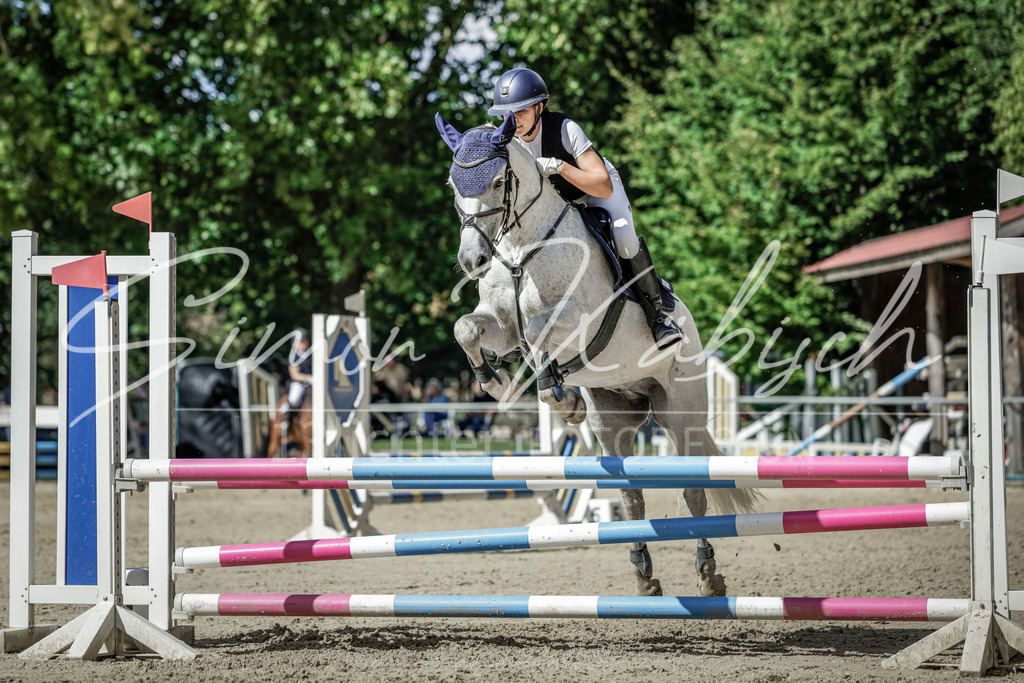 20250906-_3LI6425 | Tierfotografie Pferde, Hunde, Katzen, Haustiere.
Turnierfotografie Reitturniere, Reiten, Springreiten, Dressur in Hanau, dem Main-Kinzig-Kreis und dem Rhein-Main- Gebiet um Frankfurt