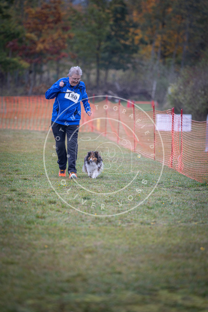 Pfotenfotografie_DV3A9534 | Hundefotografie, Tierfotograf, Pfotenfotografie, Fotoshooting Hund, Hunde Portrait, Hundesport, Hundeportraits, Heideshooting, Hunde, Sportfotograf, Hundefotograf, Turnierhundsport, THS,  - Realisiert mit Pictrs.com