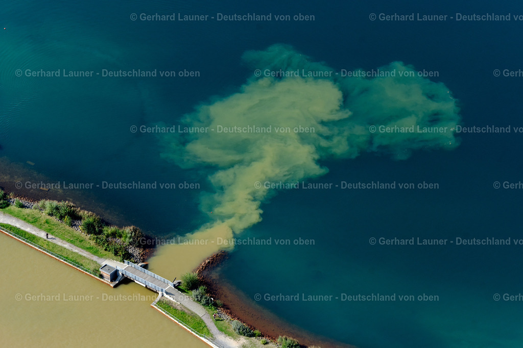 zufliesendes Wasser in den Markkleeberger See | BRAUNSBEDRA 08.09.2021 Rekultivierung der ehemaligen Tagebau - Fläche an den Uferbereichen des Sees " Geiseltalsee " in Braunsbedra im Bundesland Sachsen-Anhalt, Deutschland. // Open pit re cultivation on the shores of the lake " Geiseltalsee " in Braunsbedra in the state Saxony-Anhalt, Germany. Foto: Gerhard Launer