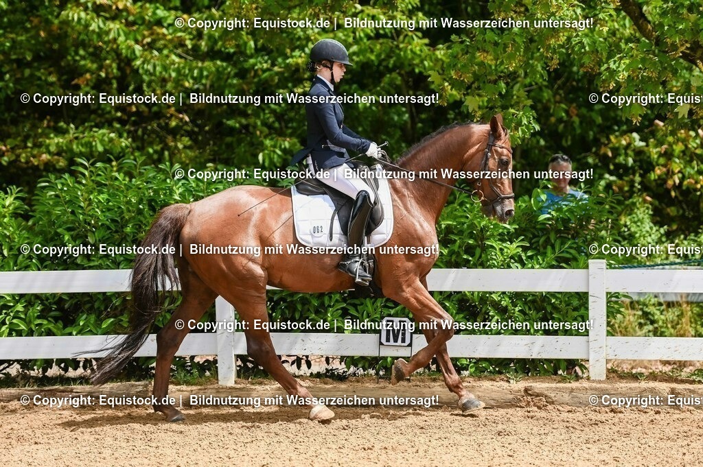 20230716_03_Dressurprfg. Kl.L - Tr._0408 | equistock