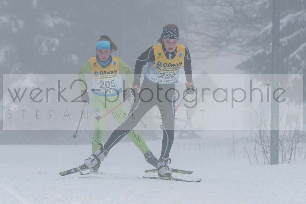 Otto-Wahl-Lauf Oberhof | Otto-Wahl-Lauf in Oberhof am 29. Februar 2020