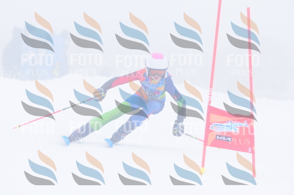 C3529 | holidayphoto