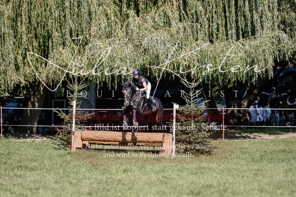 DSC_2904 | Pferde- und Turnierfotografie in Westsachsen. Pferdeportraits, Auftragszeichnungen und intuitive Kunst.