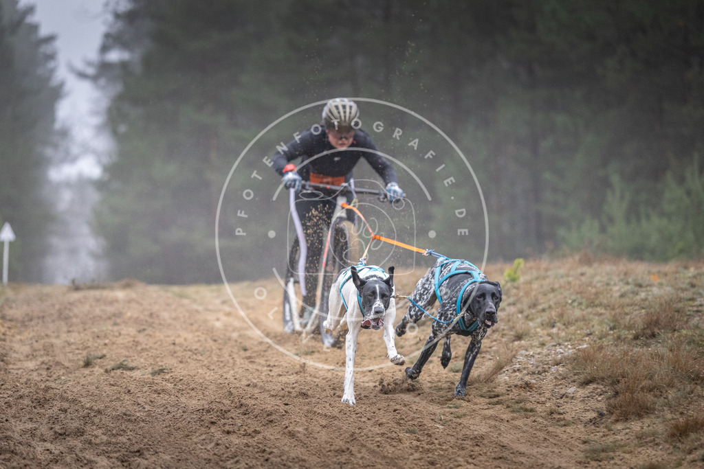 Pfotenfotografie_DV3A0794 | Hundefotografie, Tierfotograf, Pfotenfotografie, Fotoshooting Hund, Hunde Portrait, Hundesport, Hundeportraits, Heideshooting, Hunde, Sportfotograf, Hundefotograf, Turnierhundsport, THS,  - Realisiert mit Pictrs.com
