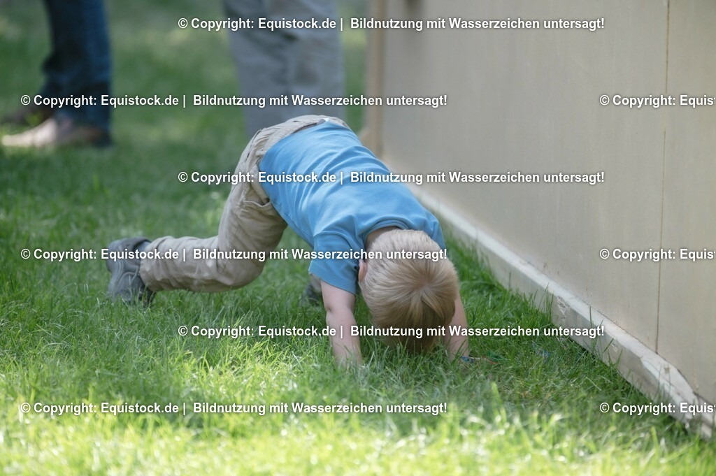 20230528_Voltigieren_NASPA_0272 | equistock