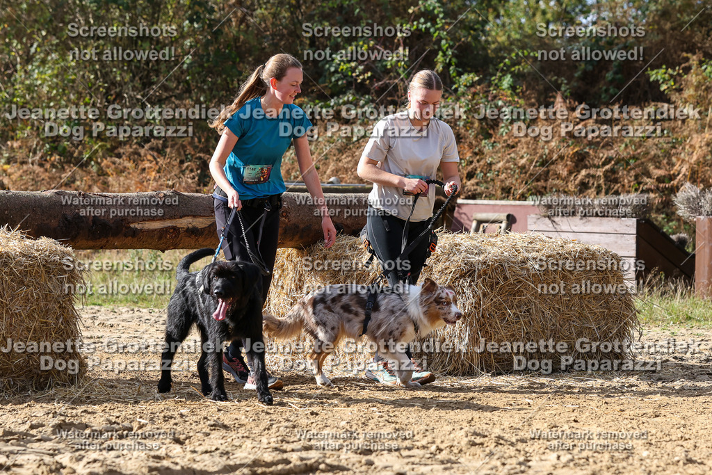 Dog Paparazzi - Strongdog 10-25-5344 | Dog Paparazzi Jeanette Grottendiek Fotografie & Videografie - Realisiert mit Pictrs.com