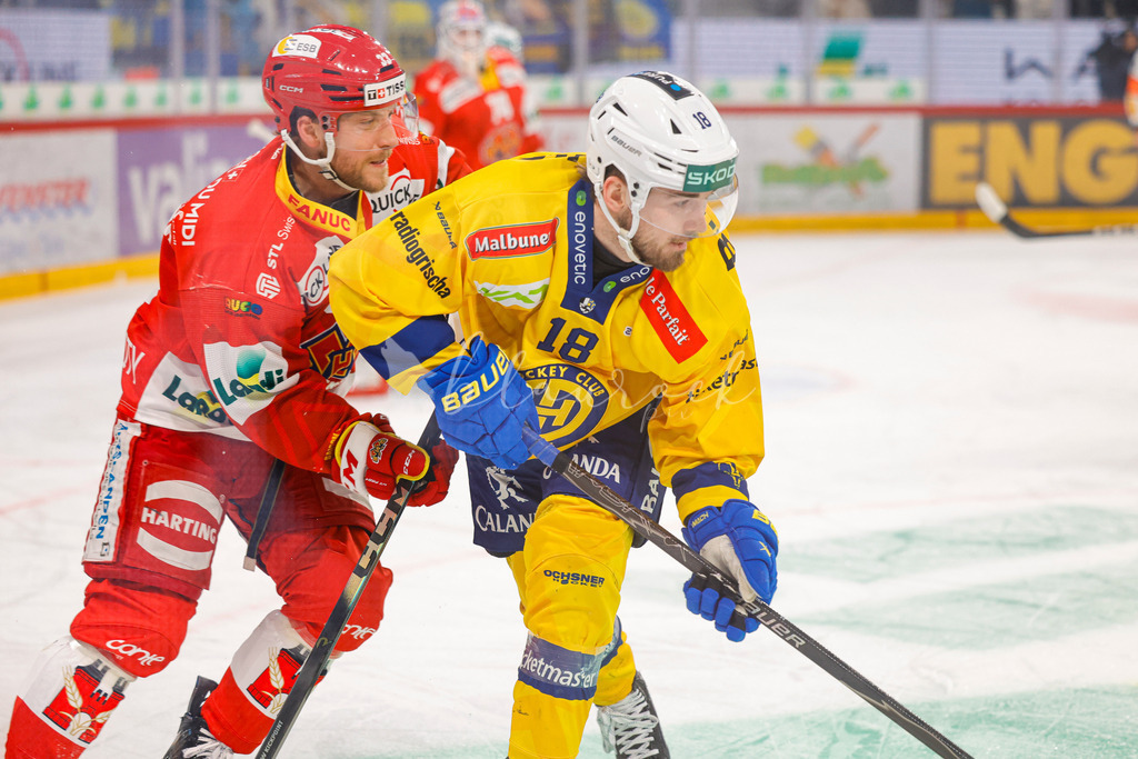 EHCB vs HCD 20260106_wb-0983 | Sportbilder, Sportfotograf, Hochzeits- und Eventfotografin, Flugshows, Portraits und Tiershooting, Aviation, Downhill, Nationalleague, Swissleague, International