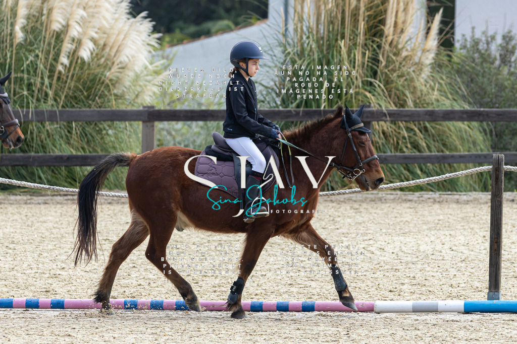 IMG_4729 | s-jay-photography - Realisiert mit Pictrs.com