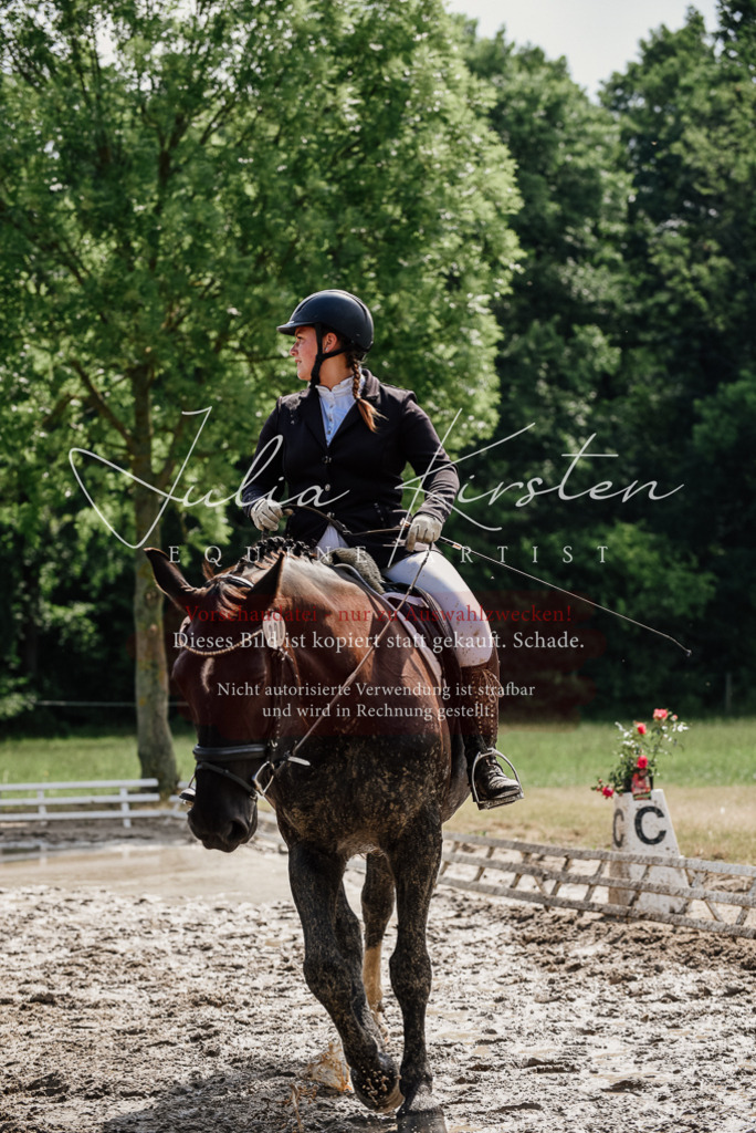 DSC_0258 | Pferde- und Turnierfotografie in Westsachsen. Pferdeportraits, Auftragszeichnungen und intuitive Kunst.