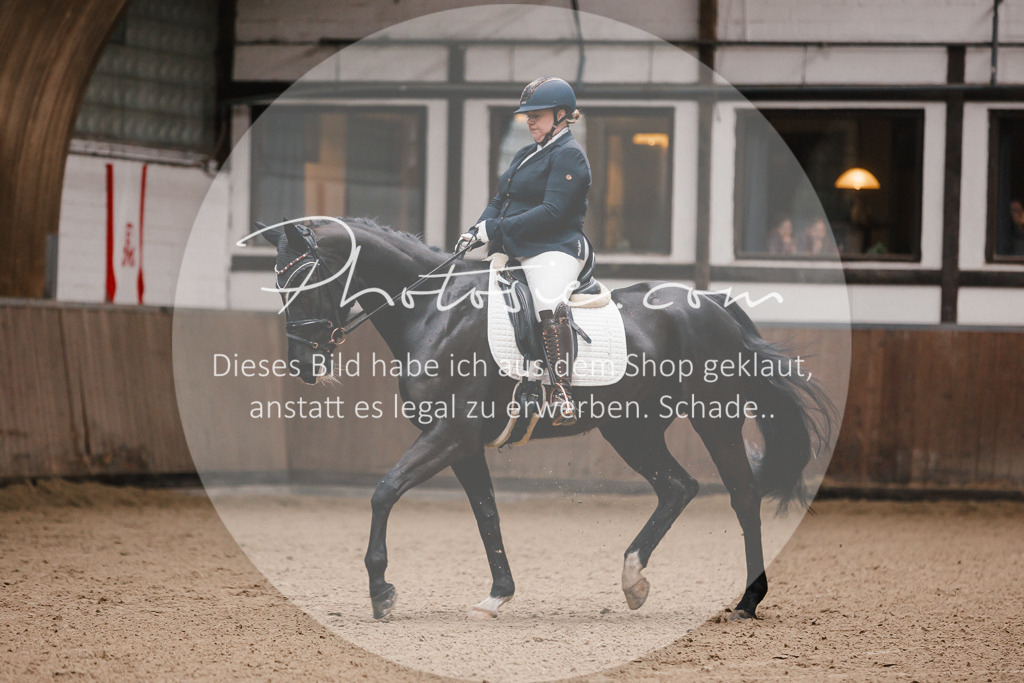 3I6A7136 | Stimmungsvolle Portraits und Reitsportfotografie im Ruhrgebiet und im Münsterland.

Pferdefotografie, Hundefotografie, Tierfotografie, Reportagen, Portraits von Tier und Mensch, Turnierfotografie in Bochum, Recklinghausen, Marl, Haltern am See, Dülmen.. - Realisiert mit Pictrs.com