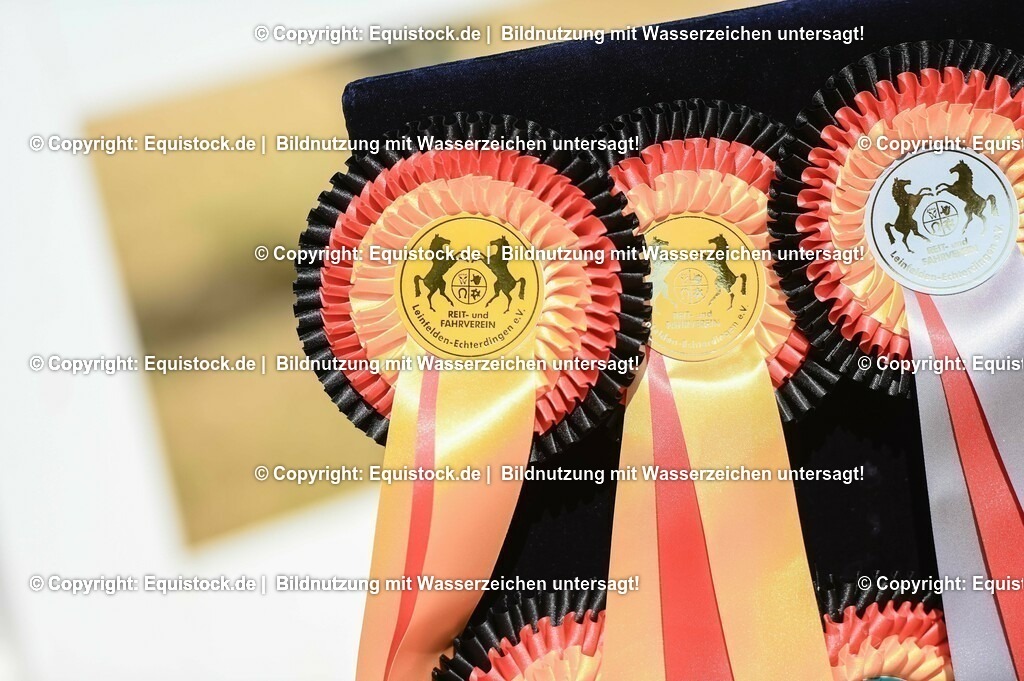 20230715_07_Dressurpferdeprfg. Kl.L_0201 | equistock