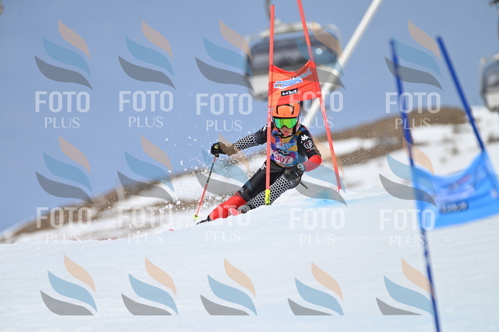 BGV_2871 | holidayphoto