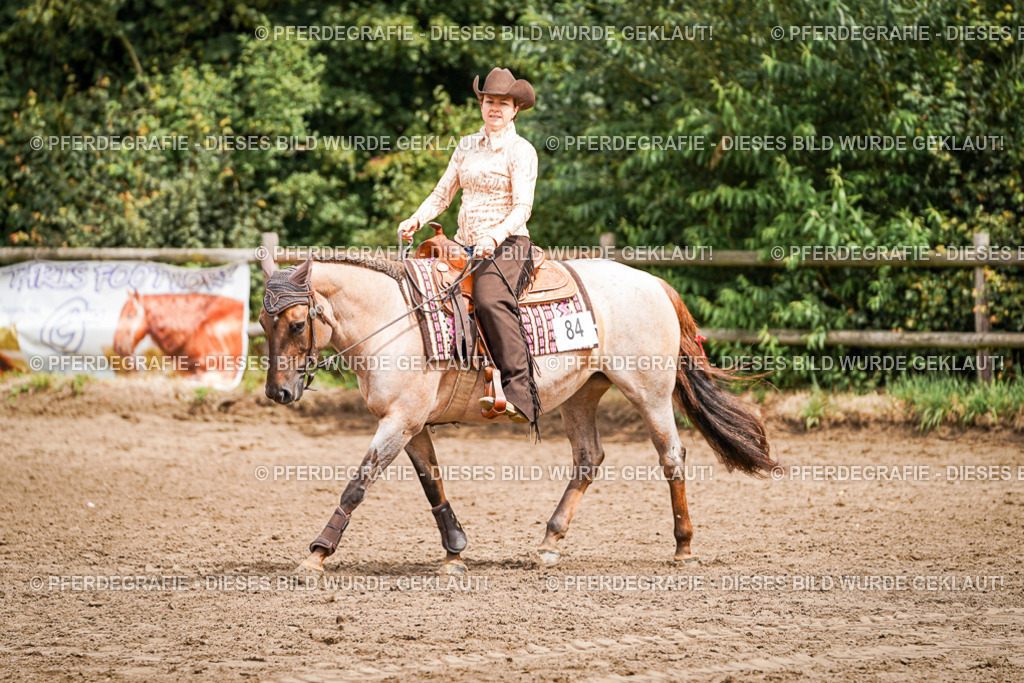 DSC04673 | Pferdegrafie