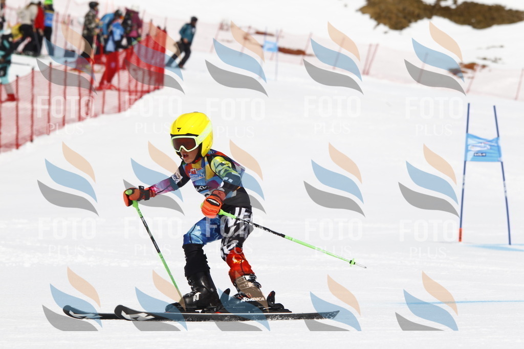 _U3G4794 | holidayphoto