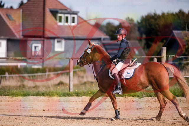 2026_10_03_Siefer-Hof_144716_Z81_24174494 | Professionelle Reitsport-, Turnier- und Eventfotografie von Robert Broda. Galerien mit ausgewählten und bearbeiteten Bildern direkt online ansehen und bestellen.