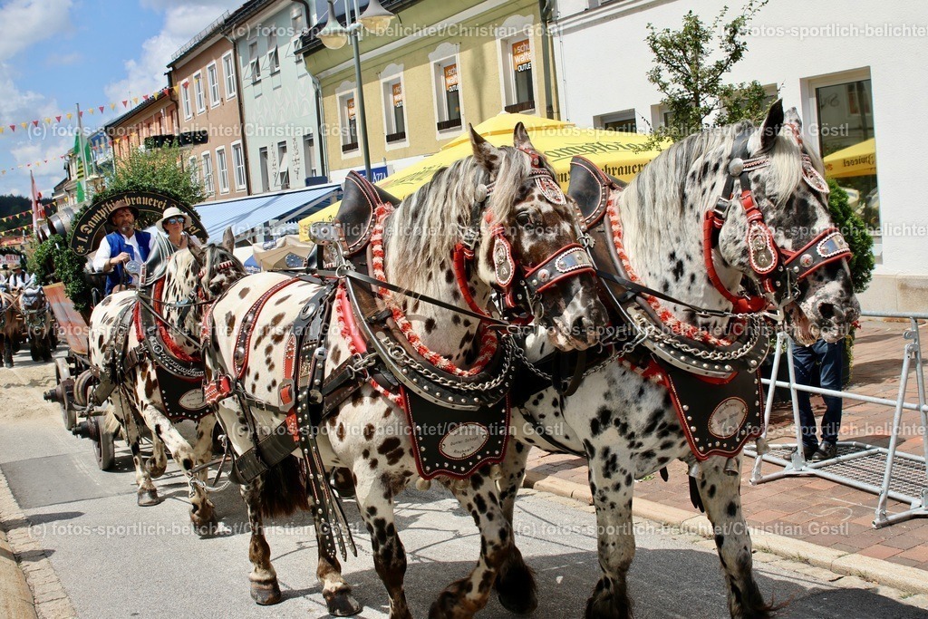 IMG_0370 | fotos-sportlich-belichtet - Realisiert mit Pictrs.com