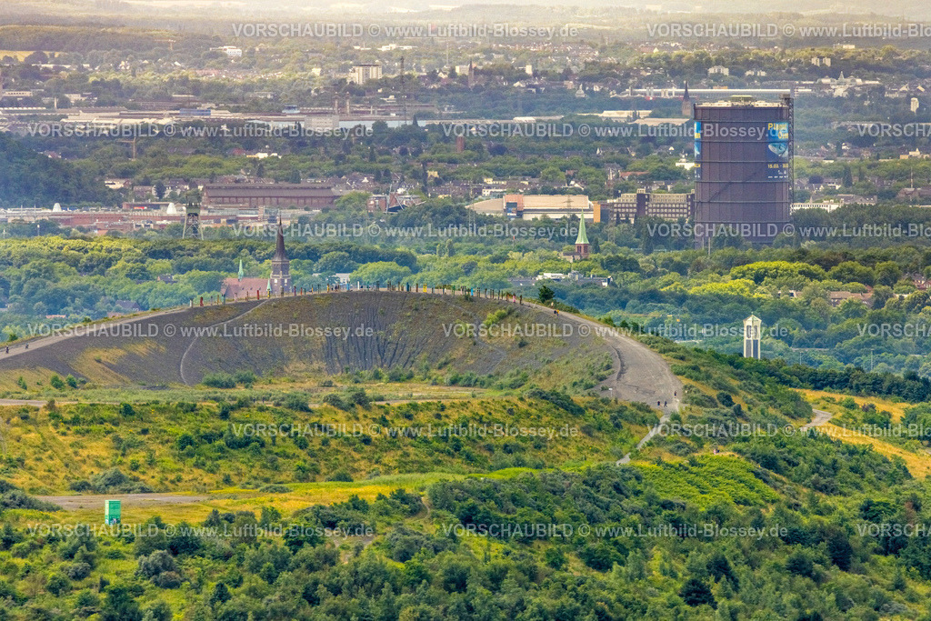 Bottrop240701445Kirchhellen | Luftbild, Halde Haniel, farbige Totems von Agustín Ibarrola, Gasometer Oberhausen, Fuhlenbrock, Bottrop, Ruhrgebiet, Nordrhein-Westfalen, Deutschland