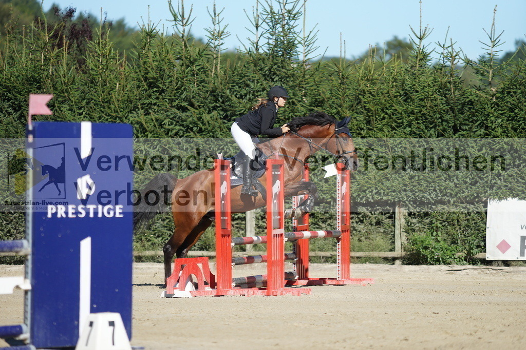 DSC08361 | equestrian-live-com