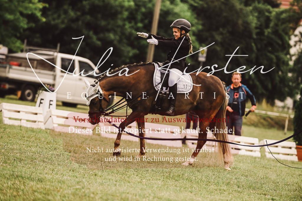 DSC_5229 | Pferde- und Turnierfotografie in Westsachsen. Pferdeportraits, Auftragszeichnungen und intuitive Kunst.