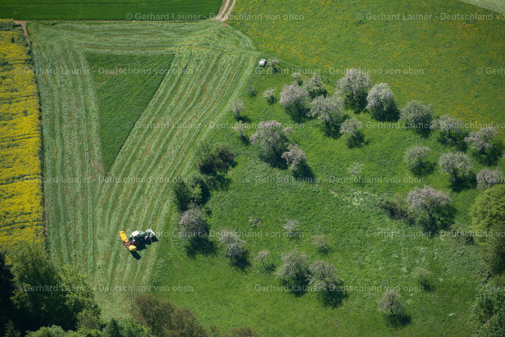 3500556 | Feldbearbeitung bei Schneeberg