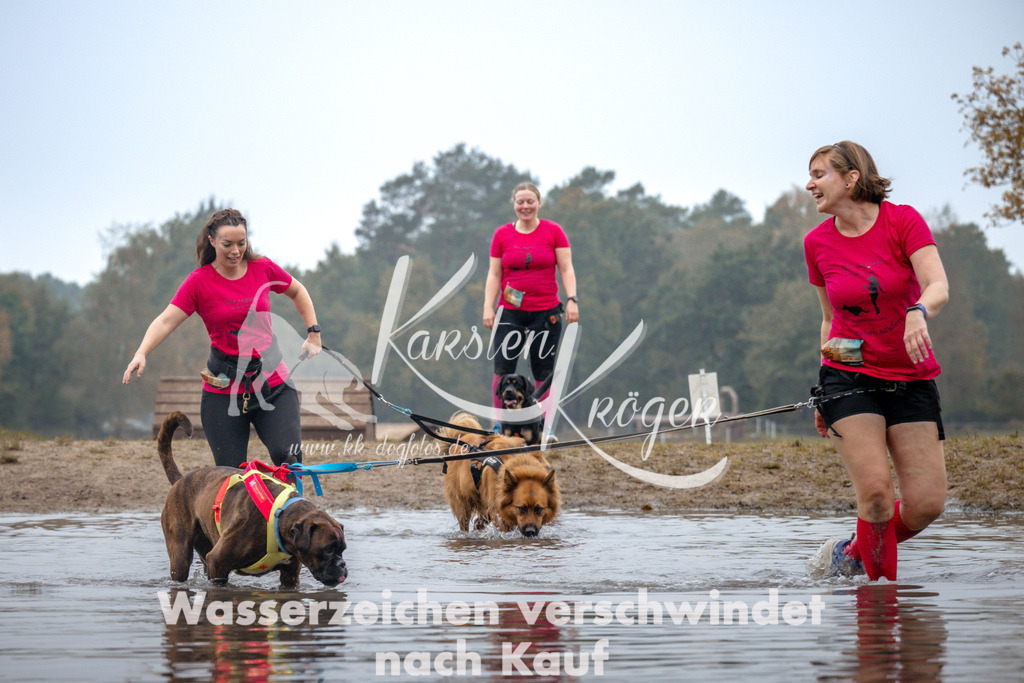 1025_ZZ99484 | kk-dogfotos