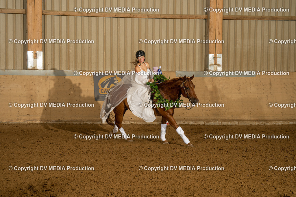 LAU01292 | dv-media-shop - Realisiert mit Pictrs.com